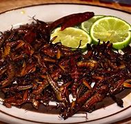 Image result for Weird Mexican Food