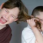 Image result for Sibling Rivalry Books