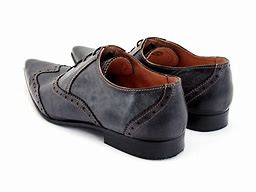 Image result for Fluevog Iggy Shoes