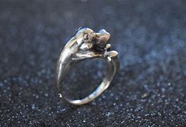 Image result for Hippo Ring