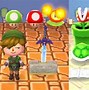 Image result for Animal Crossing New Leaf Items