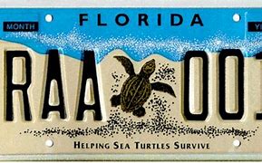 Image result for Florida License Plate