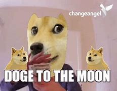 Image result for Yaco Doge GIF