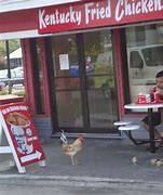 Image result for KFC Cat Meme