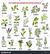 Image result for Best Herbs for Lowering Cholesterol