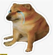 Image result for Cool Doge and Sad Doge