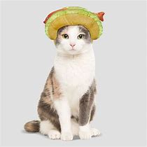 Image result for Cat Taco Oodie