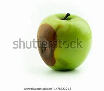 Image result for Rotten Apple Tamuning Guam Logo