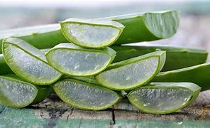 Image result for Aloe Vera Gel