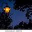 Image result for LA Yellow Streetlights