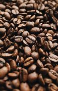 Image result for Robusta Coffee Beans