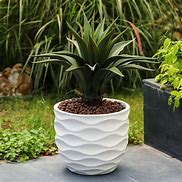 Image result for Unique Indoor Plant Pots