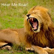 Image result for Go See Roar the Security