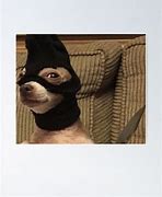 Image result for Dog with Ski Mask Meme