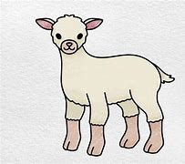 Image result for How to Draw a Lamb