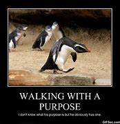 Image result for Funny Quotes About Walking