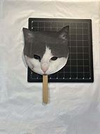 Image result for Black and White Cat Mask