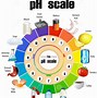 Image result for Light Bulb pH Scale