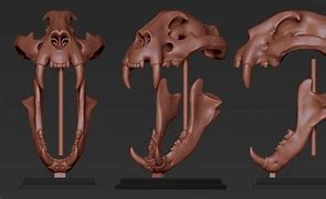 Image result for Tiger Skull 3D Print