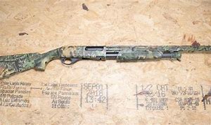 Image result for Stoeger Pump Shotgun