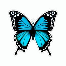 Image result for Butterfly Decals for Cars