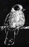 Image result for Scratchboard Art Techniques