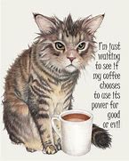 Image result for Coffee Face Funny