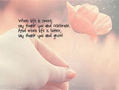 Image result for Sweet Life Quotes