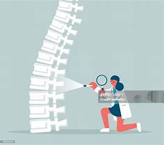 Image result for Human Spine Illustration