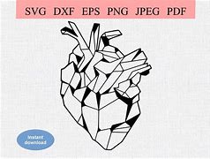 Image result for Geometric Anatomical Heart