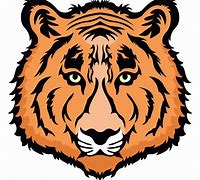 Image result for Tiger Face Icon