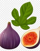 Image result for Fig Fruit Clip Art