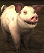 Image result for WOT Hog Pig