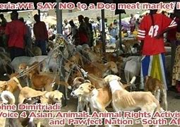 Image result for Dog Meat in Nigeria