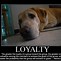 Image result for Quotes About Being Loyal