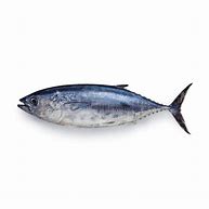 Image result for Tuna Viswa