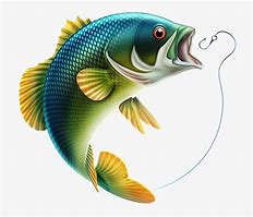 Image result for Fish Images HD Vector