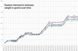 Image result for Hermann Tortoise Growth Chart