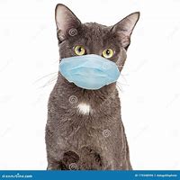 Image result for Dual Lab Cat Mask