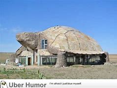 Image result for Turtle House