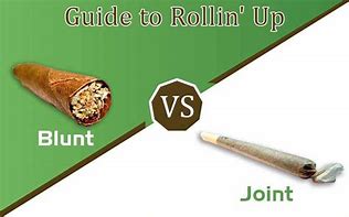 Image result for Difference Between Blunt and Joint