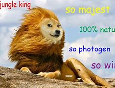 Image result for Loimu Doge