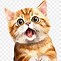 Image result for Cartoon Cat Pictures for Puppet