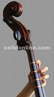 Image result for Cello Finger Positions