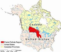 Image result for Prairies North America