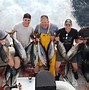 Image result for Bluefin Tuna Fin