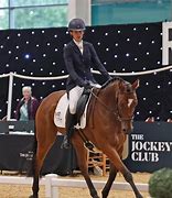 Image result for Ror Horses