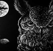 Image result for Night Owl Hensoldt