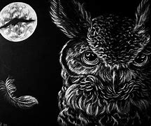 Image result for Night Owl Graphics