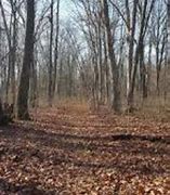 Image result for Wittlinger Nature Preserve